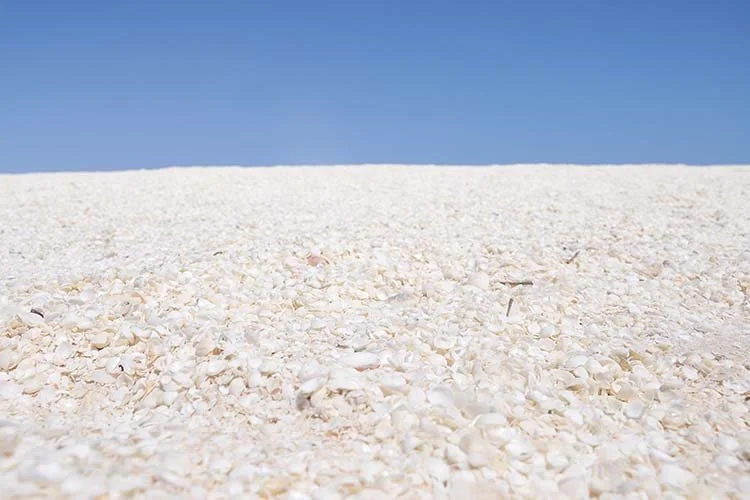 4-%EC%89%98%EB%B9%84%EC%B9%98.jpg?type=w1200