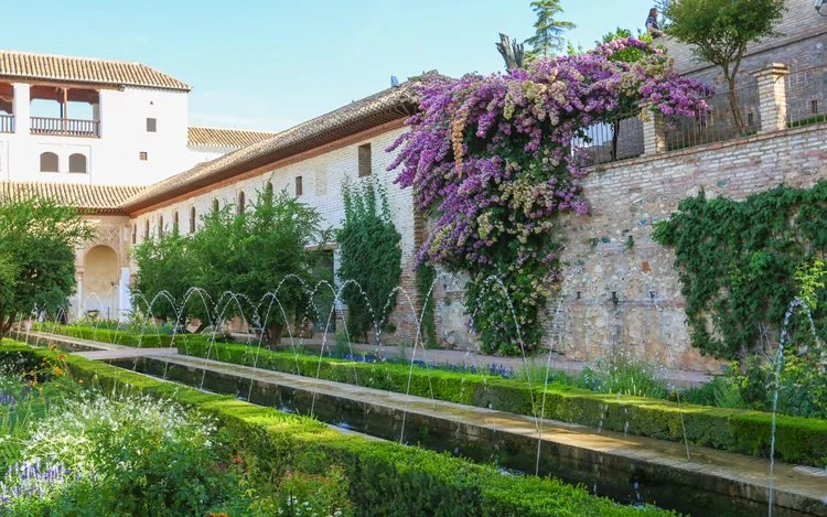 image_6179631951547431990424.jpg?type=w1200