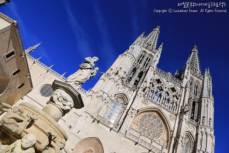 %EB%B6%80%EB%A5%B4%EA%B3%A0%EC%8A%A4%EB%8C%80%EC%84%B1%EB%8B%B9_01.png?type=w1200