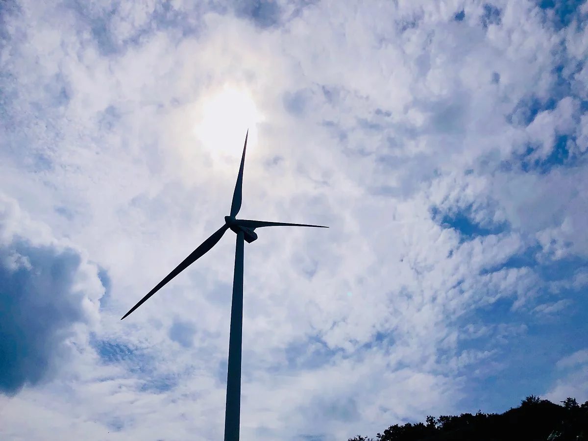 IMG_5973.JPG?type=w1200