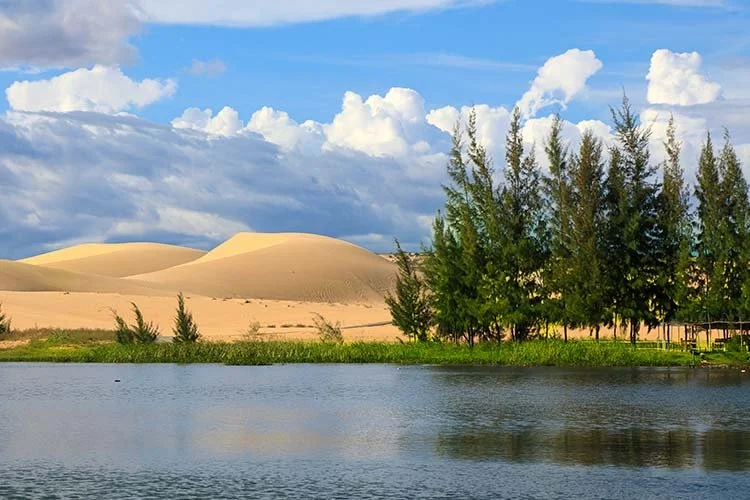 7-%EB%AC%B4%EC%9D%B4%EB%84%A4.jpg?type=w1200