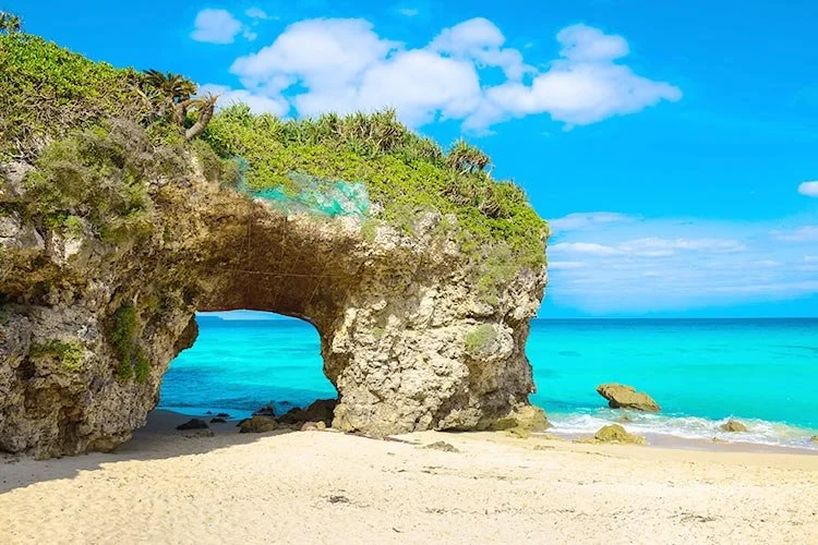 5-%EB%AF%B8%EC%95%BC%EC%BD%94.jpg?type=w1200