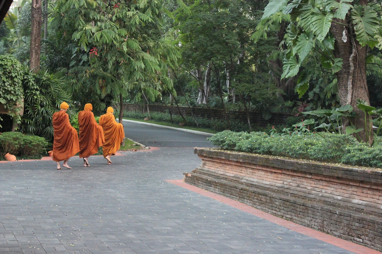 3 라오스.JPG