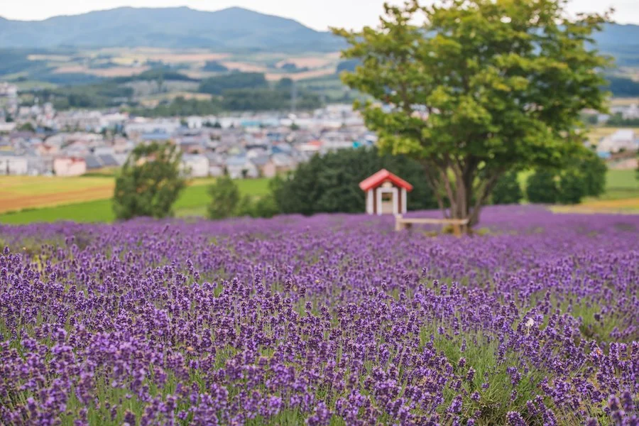 5%EC%9B%94SEO.%EC%82%BF%ED%8F%AC%EB%A1%9C%EC%97%AC%EB%A6%8414.jpg?type=w1200