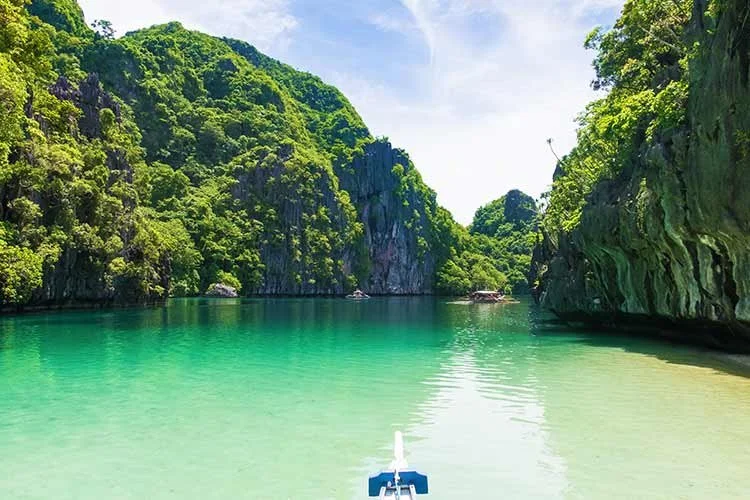 6-%ED%8C%94%EB%9D%BC%EC%99%84.jpg?type=w1200