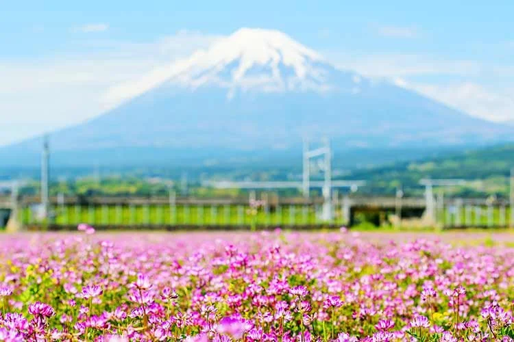 5-%EC%8B%9C%EC%A6%88%EC%98%A4%EC%B9%B4.jpg?type=w1200