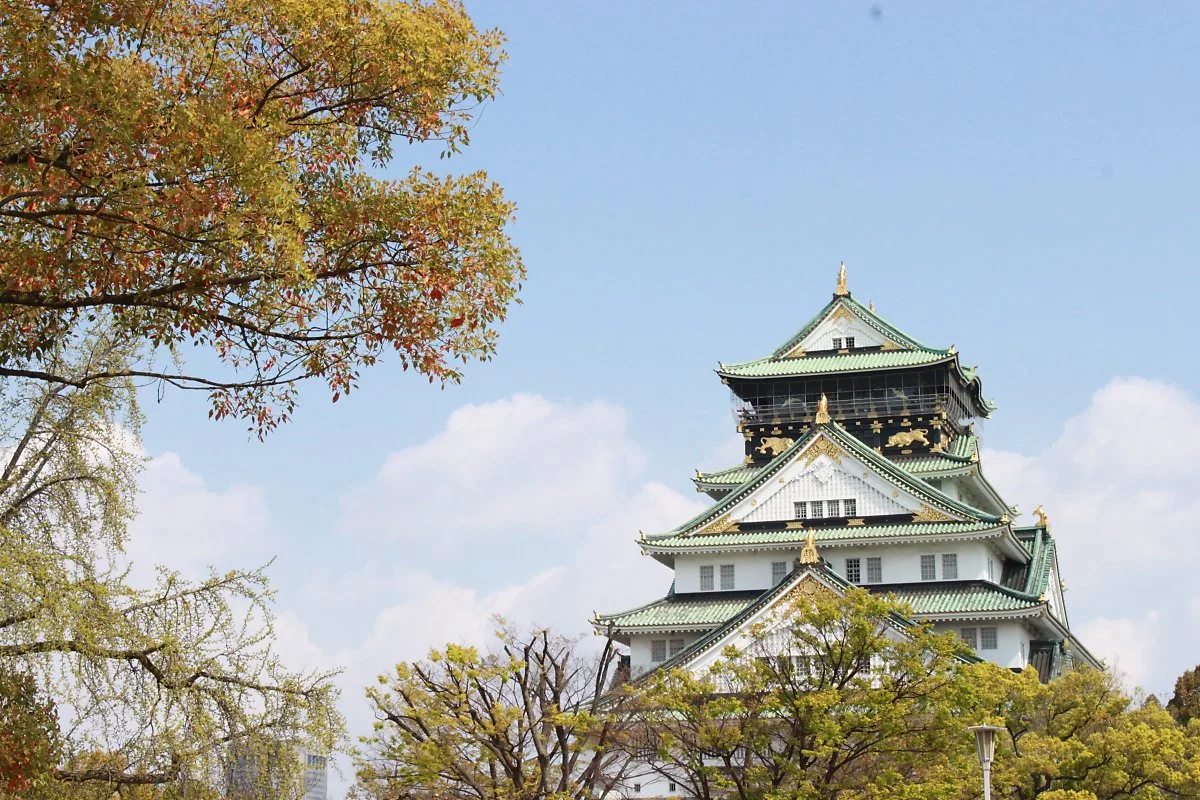 IMG_9081.JPG?type=w1200