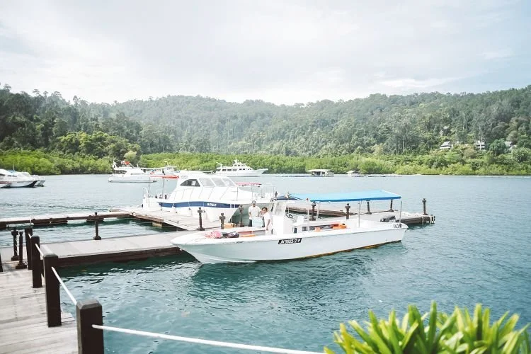 batch_38.jpg?type=w1200