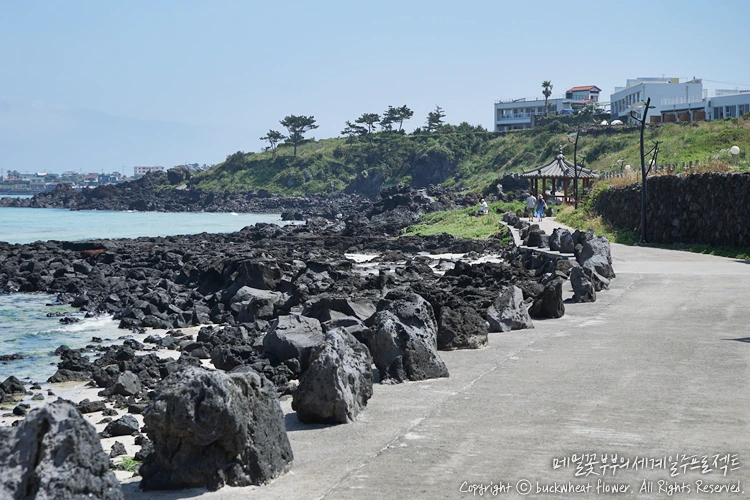 %ED%95%9C%EB%8B%B4%ED%95%B4%EC%95%88%EC%82%B0%EC%B1%85%EB%A1%9C_01.png?type=w1200