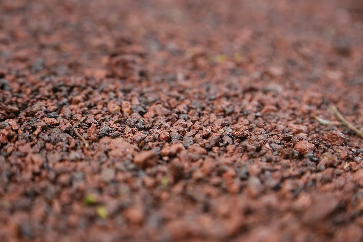 7_%EB%B9%84%EC%9E%90%EB%A6%BC_%282%29.JPG?type=w1200