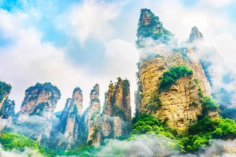 2-%EC%9E%A5%EA%B0%80%EA%B3%84.jpg?type=w1200