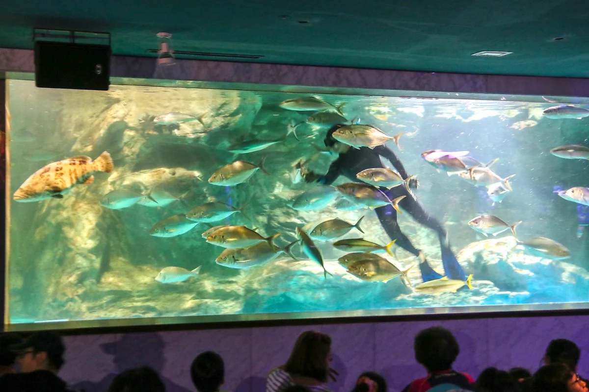 63%EC%8A%A4%ED%80%98%EC%96%B4_%283%29.jpg?type=w1200