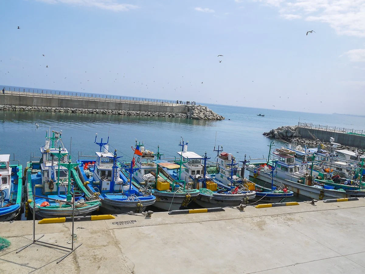 %EC%86%8D%EC%B4%88_%281%29.jpg?type=w1200