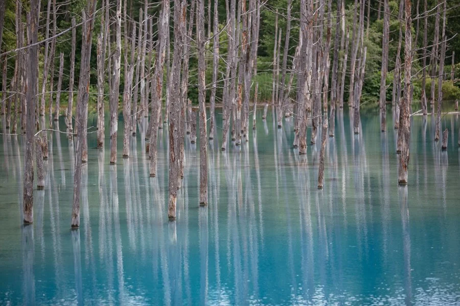 5%EC%9B%94SEO.%EC%82%BF%ED%8F%AC%EB%A1%9C%EC%97%AC%EB%A6%8426.jpg?type=w1200