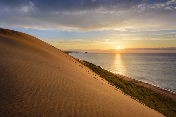 3_%EB%8F%97%ED%86%A0%EB%A6%AC.jpg?type=w1200