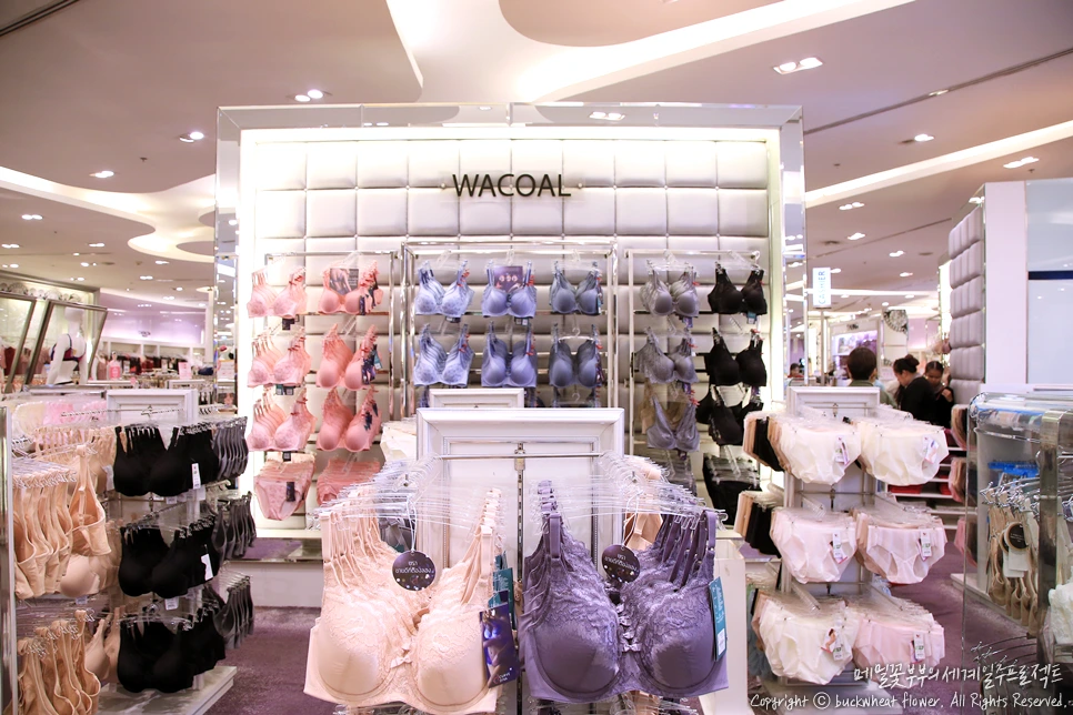 16.%EC%99%80%EC%BD%94%EB%A3%A8%EC%86%8D%EC%98%B7.png?type=w1200