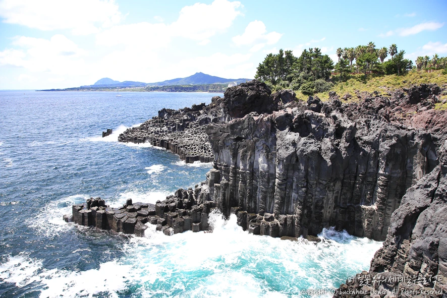 3.%EC%A3%BC%EC%83%81%EC%A0%88%EB%A6%AC.png?type=w1200