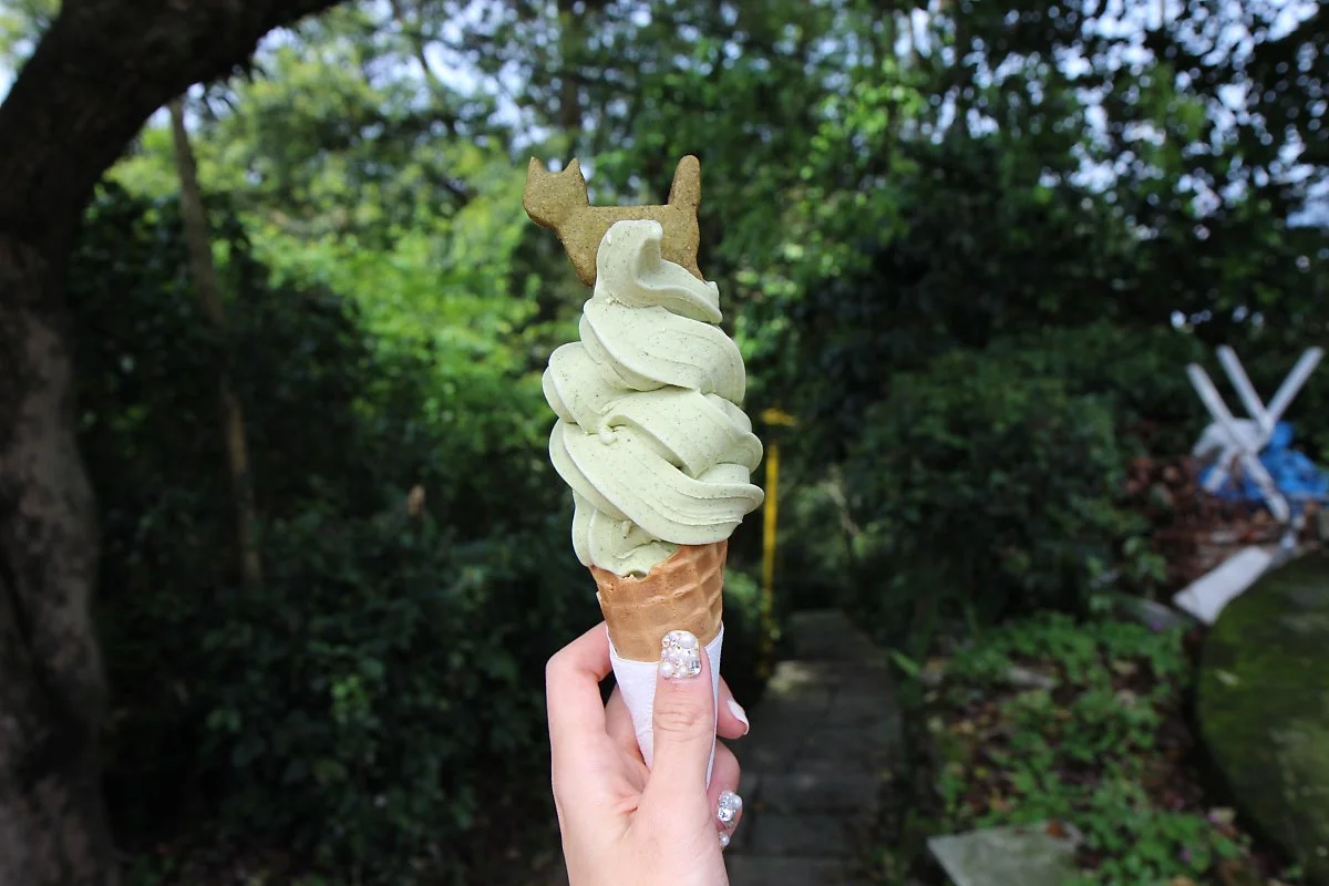 %EB%8C%80%EB%A7%8C%EA%B0%80%EB%B3%BC%EB%A7%8C%ED%95%9C%EA%B3%B3_%EB%8C%80%EB%A7%8C%EC%B9%B4%ED%8E%9822_%EB%A7%88%EC%98%A4%EC%BF%B5%EC%B9%B4%ED%8E%984.JPG?type=w1200