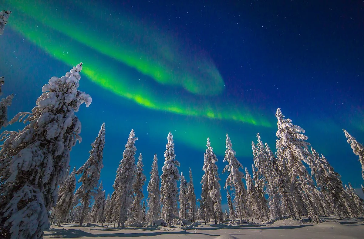 4_%ED%95%80%EB%9E%80%EB%93%9C_%EB%9D%BC%ED%94%8C%EB%9E%80%EB%93%9C_%282%29.jpg?type=w1200