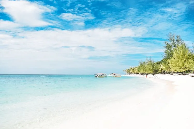 batch_43.jpg?type=w1200