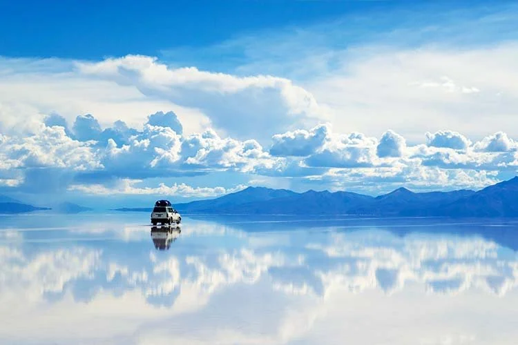 1-%EB%B3%BC%EB%A6%AC%EB%B9%84%EC%95%84.jpg?type=w1200