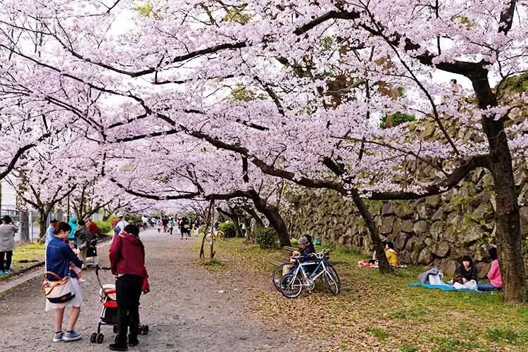 8_%281%29.jpg?type=w1200