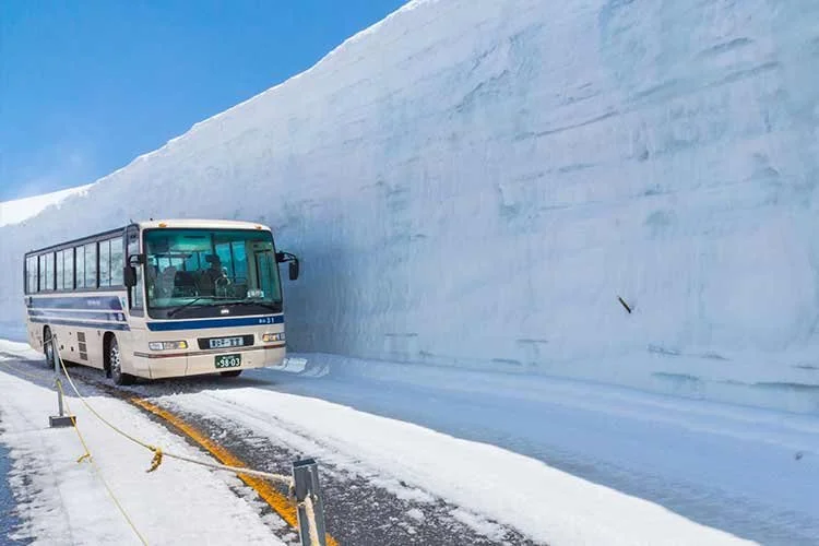 5_%EC%95%8C%ED%8E%9C%EB%A3%A8%ED%8A%B8.jpg?type=w1200