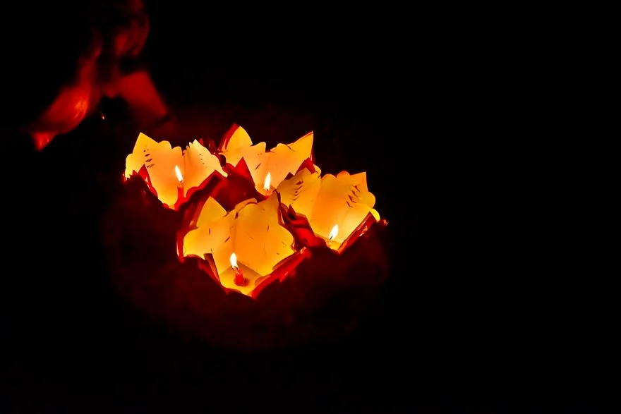 %ED%88%AC%EB%AA%AC%EA%B0%95%EC%86%8C%EC%9B%90%EB%93%B1_%282%29.JPG?type=w1200