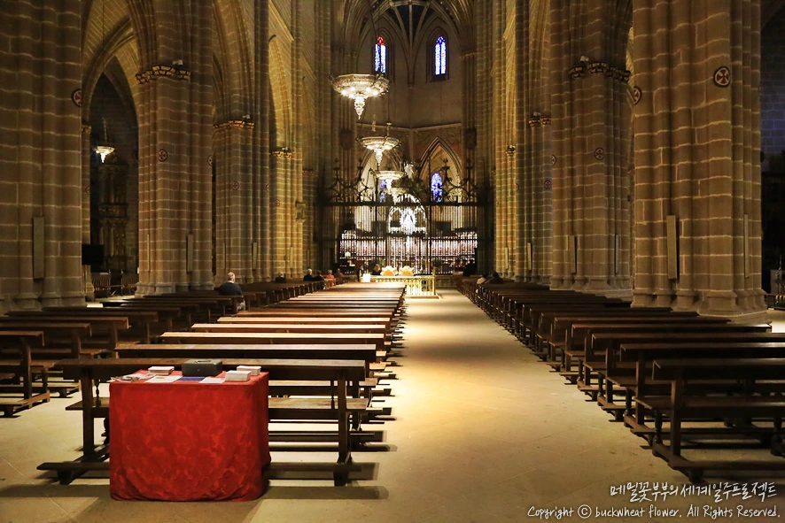 %ED%8C%9C%ED%94%8C%EB%A1%9C%EB%83%90%EC%84%B1%EB%8B%B9.png?type=w1200