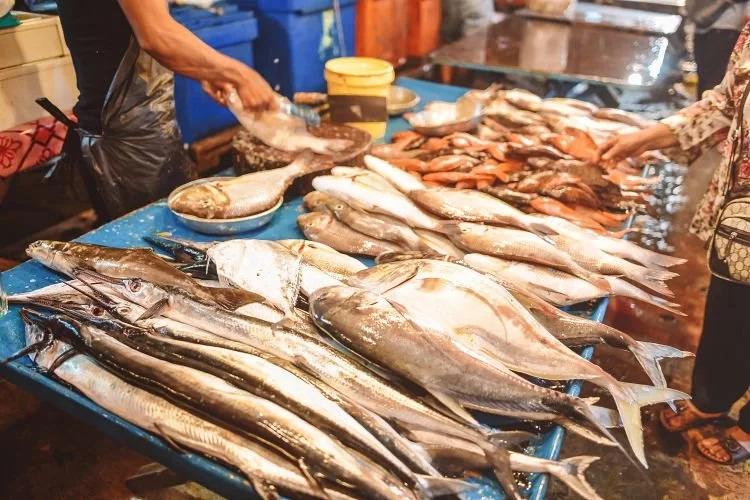 batch_33.jpg?type=w1200