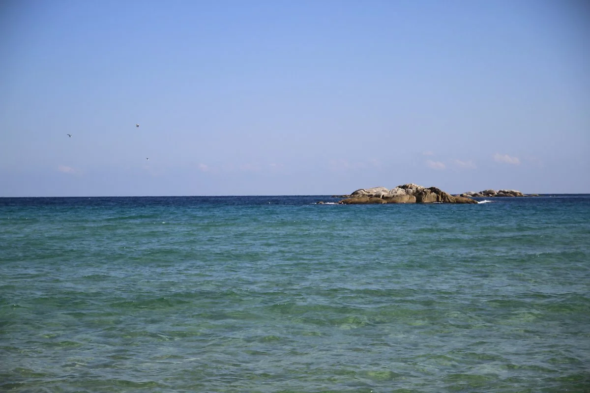 %EA%B2%BD%ED%8F%AC%ED%95%B4%EC%88%98%EC%9A%95%EC%9E%A5_%281%29.JPG?type=w1200