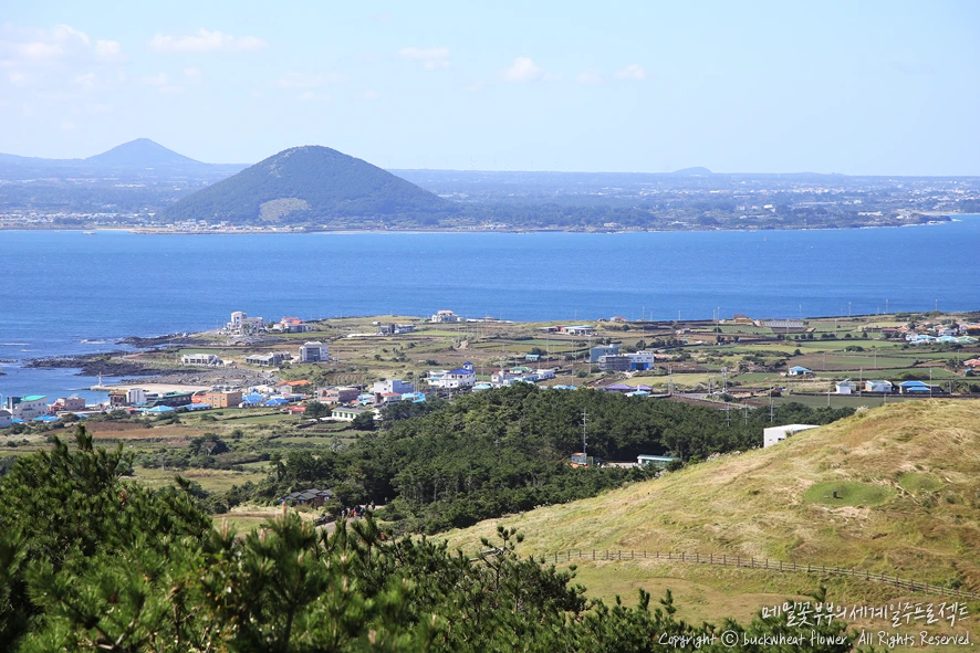 6.%EC%9A%B0%EB%8F%84.png?type=w1200