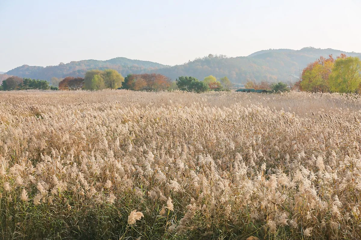 3_%ED%83%9C%EC%95%88.jpg?type=w1200