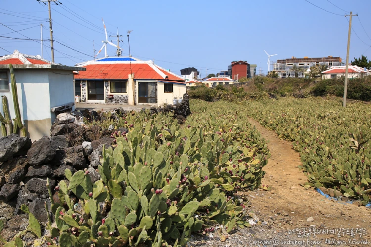 %EC%9B%94%EB%A0%B9%EB%A6%AC%EC%84%A0%EC%9D%B8%EC%9E%A5%EB%A7%88%EC%9D%84_04.png?type=w1200