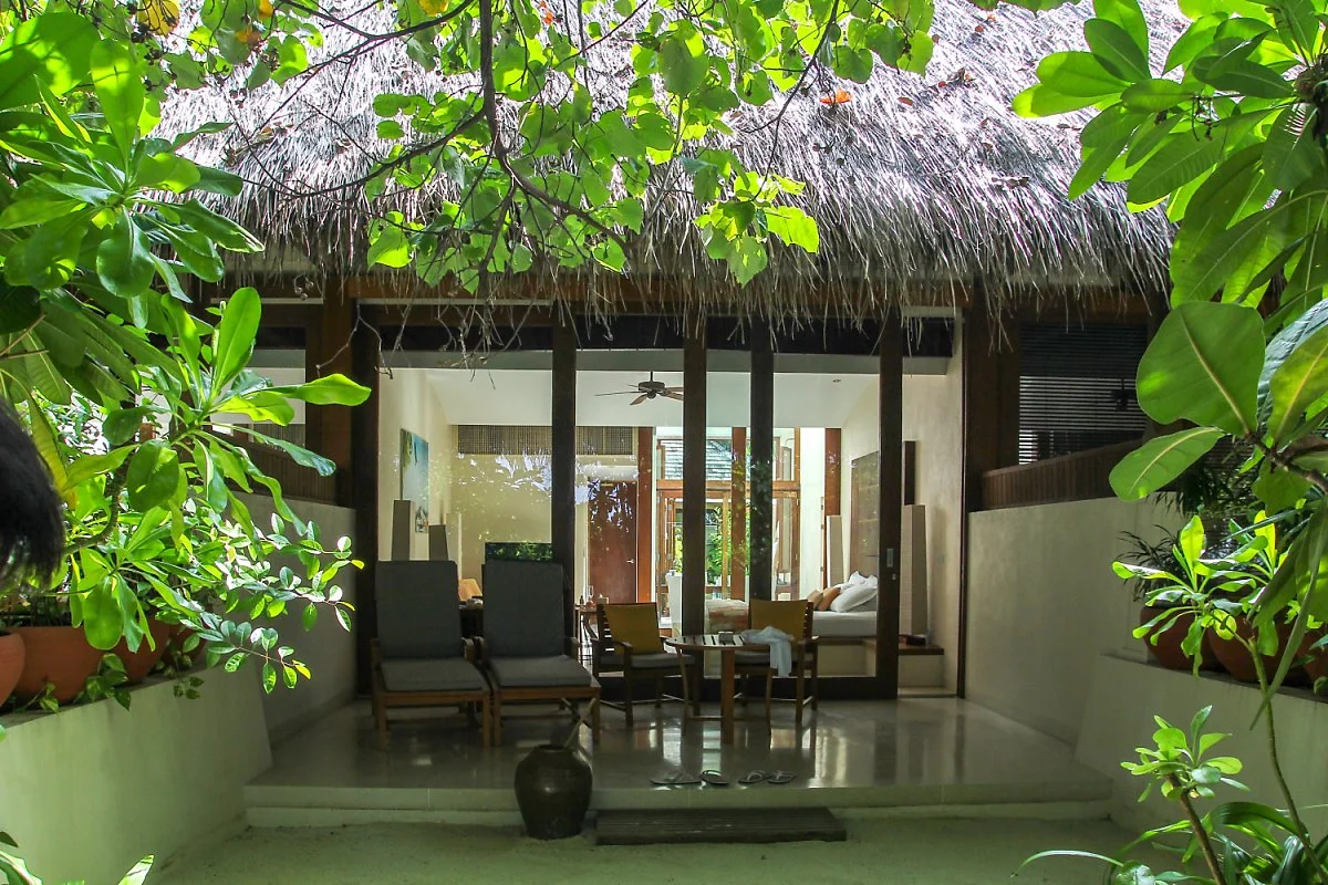 1IMG_3929.jpg?type=w1200