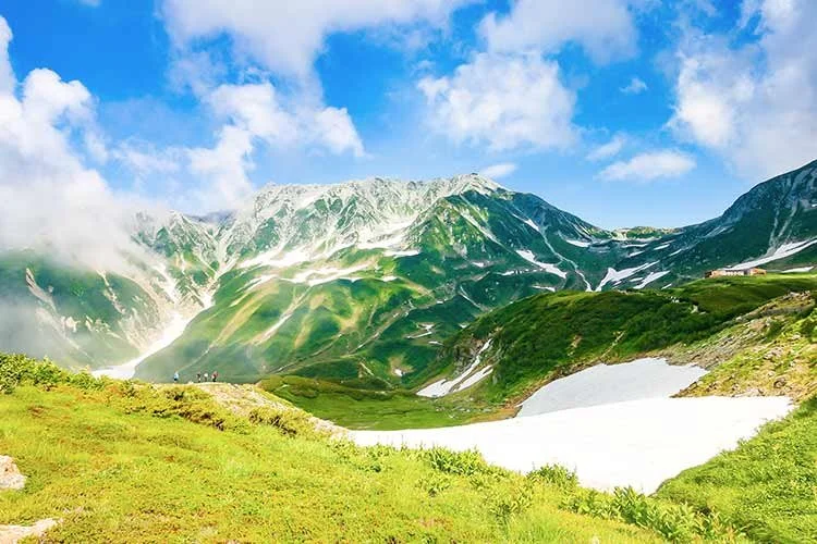 6-%EB%8F%84%EC%95%BC%EB%A7%88.jpg?type=w1200