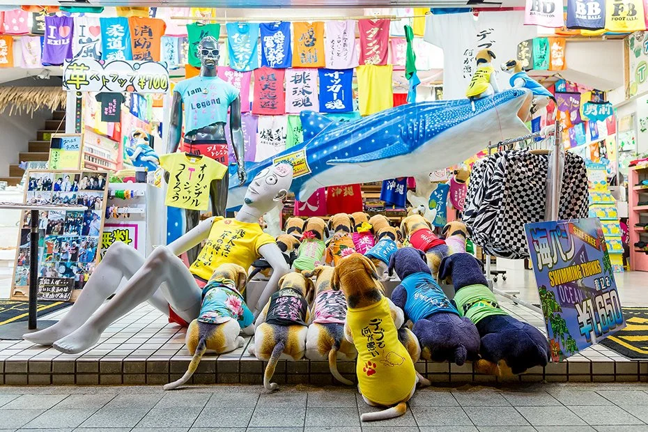 %EB%82%98%ED%95%98%EC%8B%9C_%281%29.jpg?type=w1200