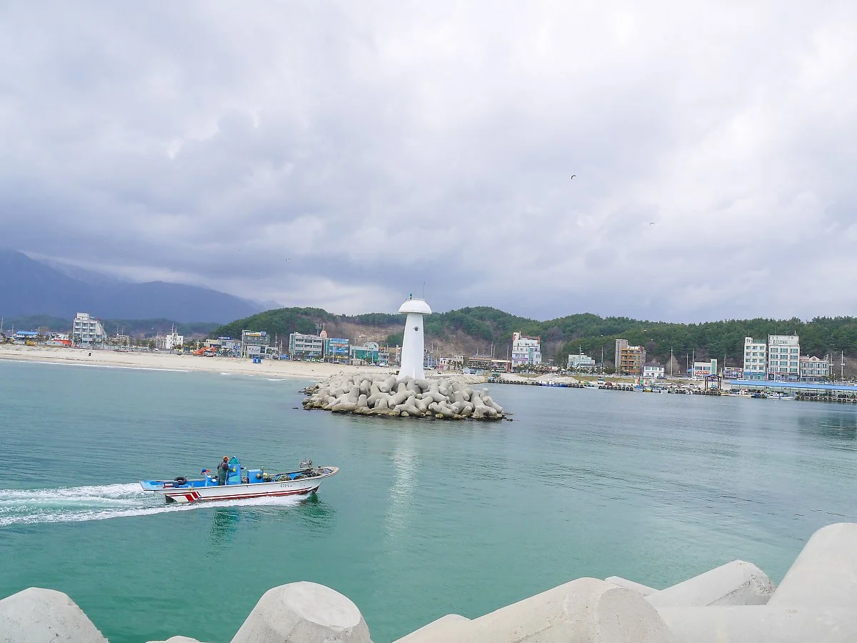 %EC%86%8D%EC%B4%88_%283%29.jpg?type=w1200