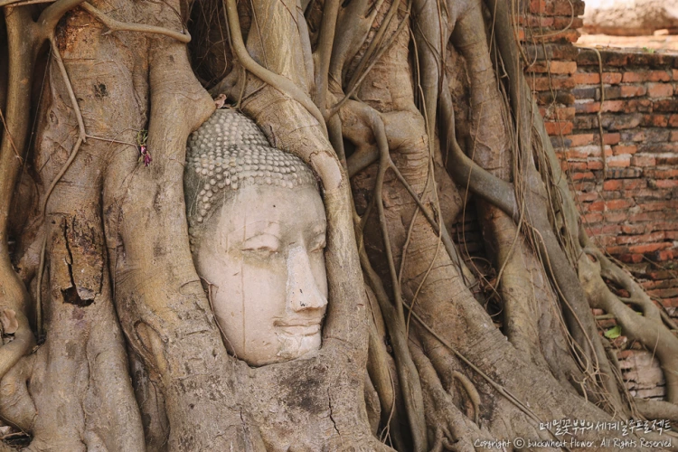 %EC%95%84%EC%9C%A0%ED%83%80%EC%95%BC01.png?type=w1200