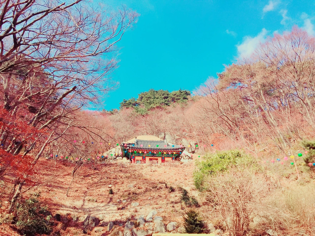 P20180226_120841133_CF27F056-26D9-471A-8A3B-C9E5AE6ECCA1 (1).JPG