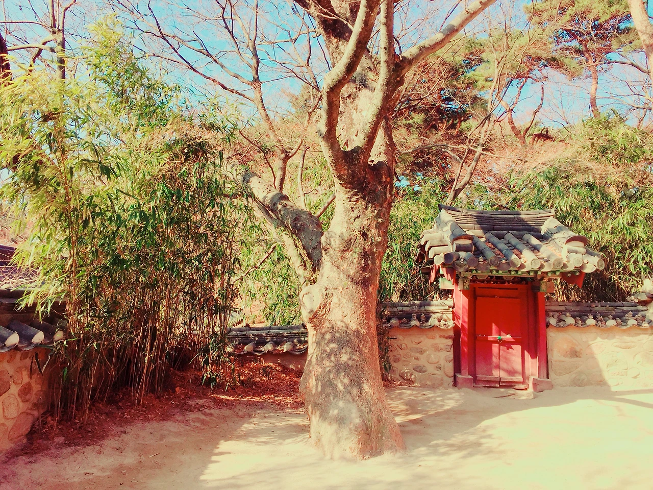 P20180226_101206345_9112BA30-C2AD-4156-8E97-FEC1EC6E415F (1).JPG