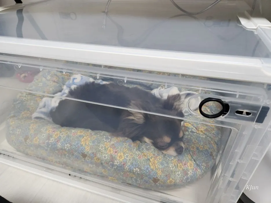 9b4fa3b4-7f8d-43c2-a54b-6afaa25f3146.jpeg?type=w1