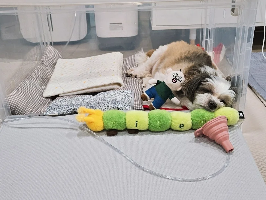 85d5edfd-dfef-4cd3-9d5e-f863b91b7390.jpg?type=w1