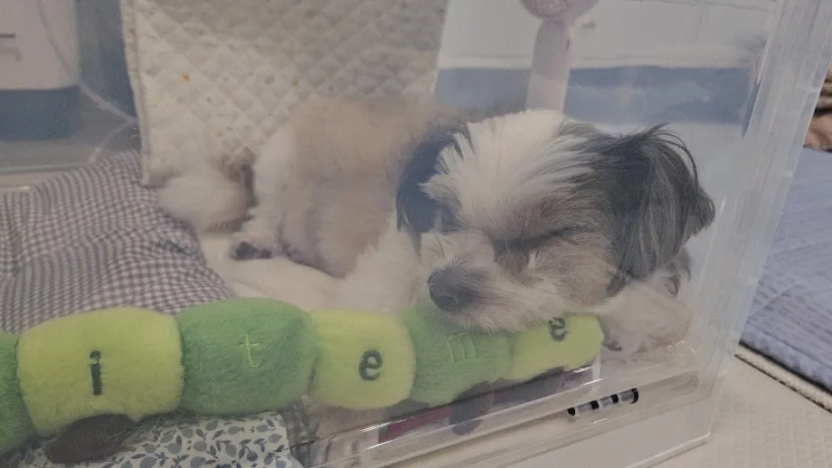 072781e0-ffe1-4b5d-ac36-4ae8a54f5897.jpg?type=w1