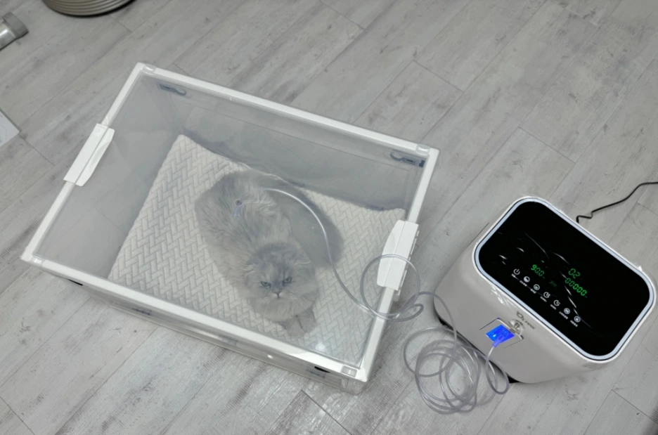 209fd7c2-94ae-4a1c-a268-20af3b41446a.png?type=w1