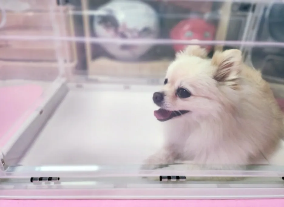 22dd4262-f259-4a35-ad9b-4764f5c910e1.jpg?type=w1