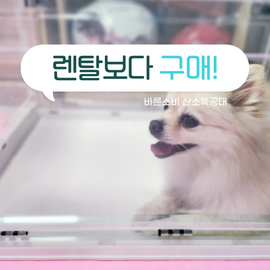 %EA%B0%95%EC%95%84%EC%A7%80%EC%82%B0%EC%86%8C%EB%B0%A92-008.png?type=w1