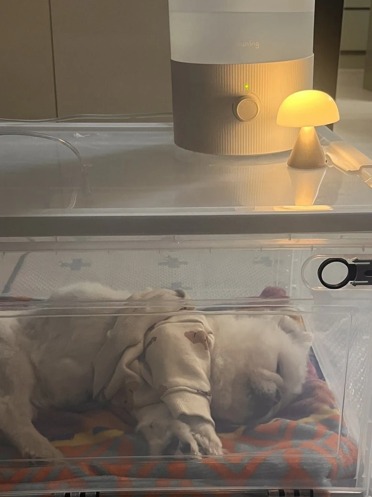 e2b1c3c2-3f27-4786-9e9f-5b5ef0ecec58.jpeg?type=w1