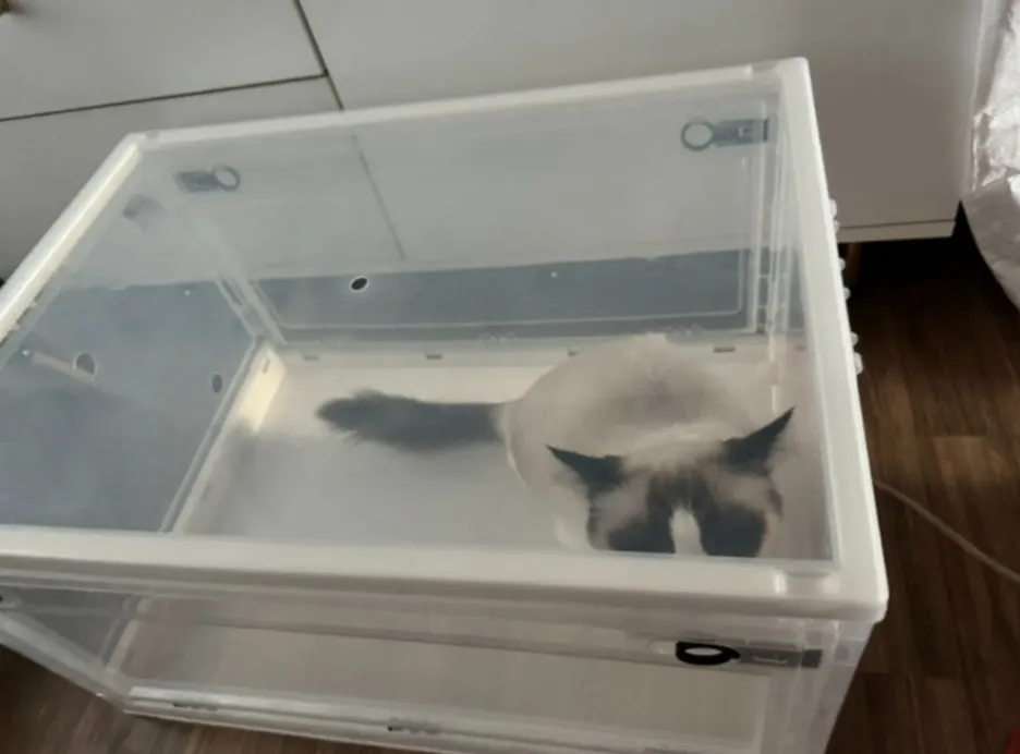 5e03db30-43ae-499b-8eae-4c44a4fd3230.jpg?type=w1