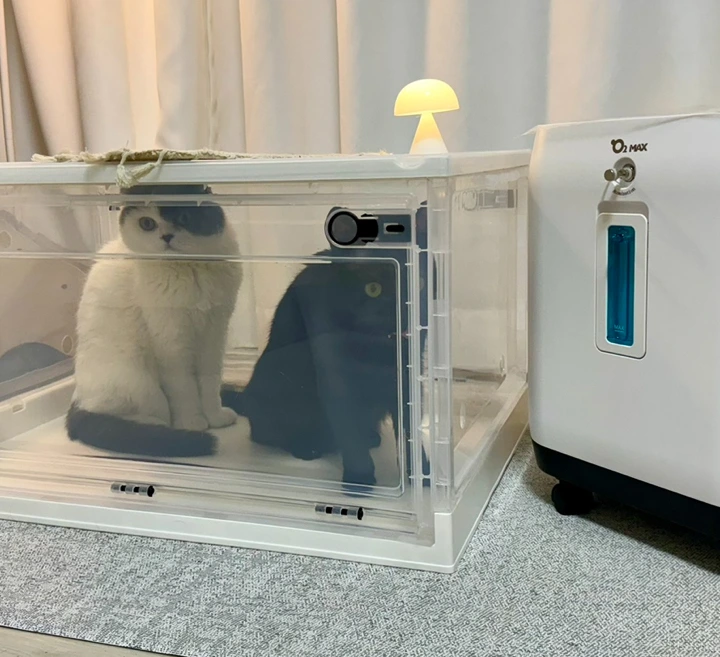 59b04321-f4b5-4efb-a0fc-b3b51fce7f4b.jpg?type=w1